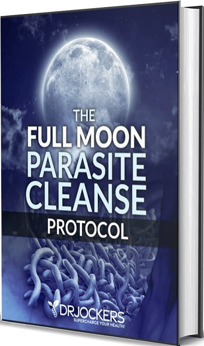 The Full Moon Parasite Cleanse Protocol