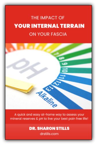 The Impact of Your Internal Terrain on Your Fascia