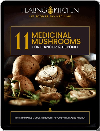 11 Medicinal Mushrooms for Cancer and Beyond