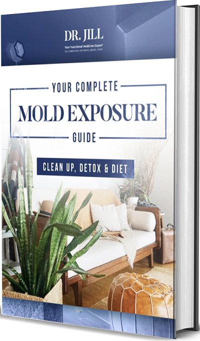 Your Complete Mold Exposure Guide: Clean Up, Detox & Diet