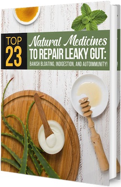 Top 23 Natural Medicines to Repair Leaky Gut