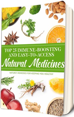 Top 25 Immune-Boosting and Easy-to-Access Natural Medicines