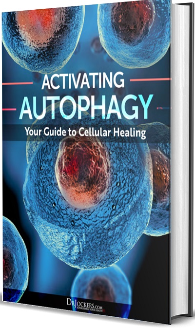 Activating Autophagy: Your Guide to Cellular Healing