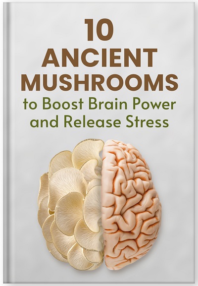 10 Ancient Mushrooms to Boost Brain Power and Release Stress