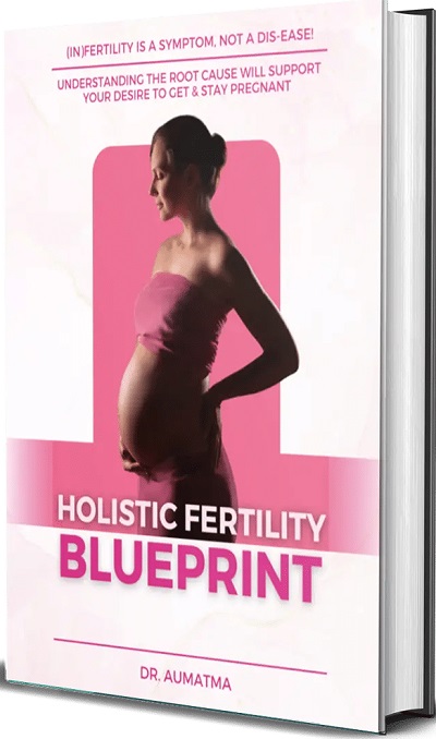 Holistic Fertility Blueprint