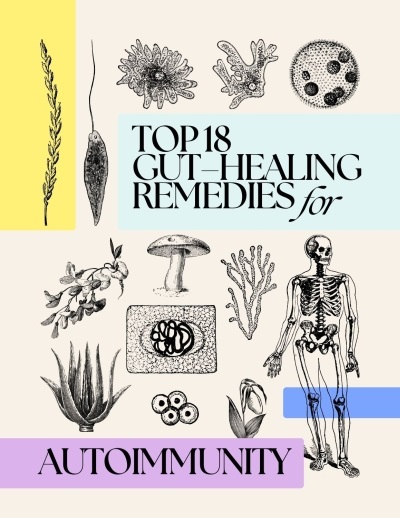 Top 18 Gut-Healing Remedies for Autoimmunity