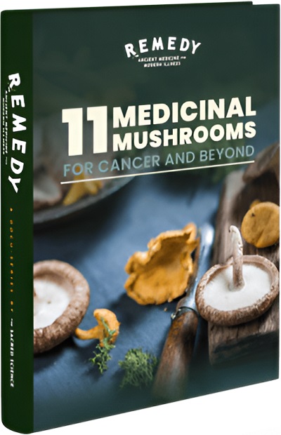 11 Medicinal Mushrooms for Cancer and Beyond