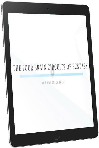 The Four Brain Circuits of Ecstasy