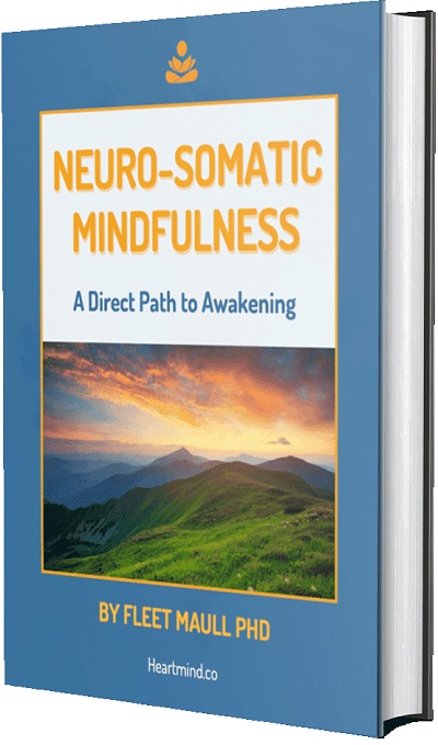 Neuro-Somatic Mindfulness: A Direct Path to Awakening