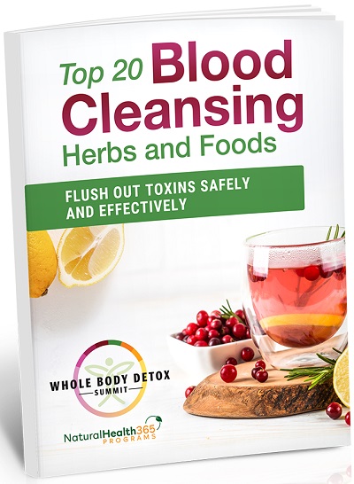 Top 20 Blood Cleansing Foods and Herbs: Flush Out Toxins Safely and Effectively