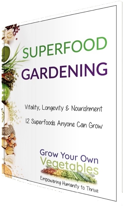 Superfood Gardening: 12 Superfoods Anyone Can Grow