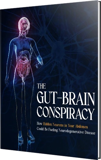The Gut-Brain Conspiracy: How Hidden Neurons in Your Abdomen Could Be Fueling Neurodegenerative Disease