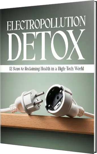 Electropollution Detox: 12 Steps to Reclaiming Health in a High-Tech World