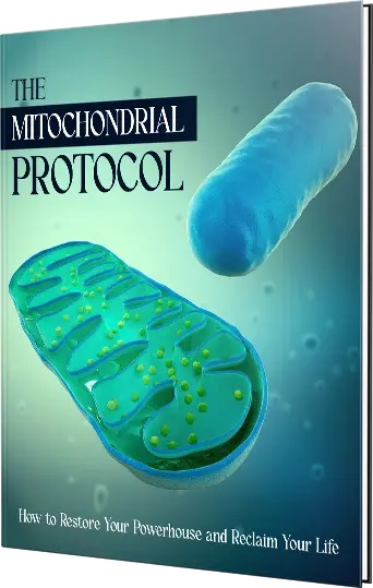The Mitochondrial Protocol: How to Restore Your Powerhouse and Reclaim Your Life