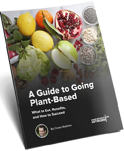 A Guide to Going Plant-Based: What to Eat, Benefits, and How to Succeed