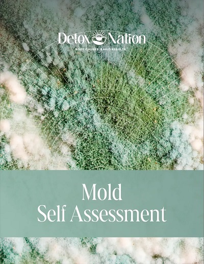 Mold Toxicity Self-Assessment