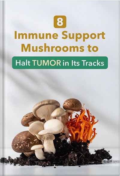 8 Immune Support Mushrooms to Halt Tumor in its Tracks