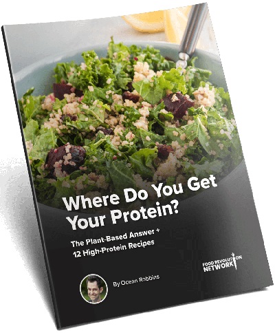 Where do you Get Your Protein?: The Plant-Based Answer + 12 High-Protein Recipes