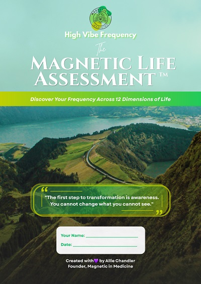 Magnetic Life Assessment: Discover Your Frequency Across 12 Dimensions of Life